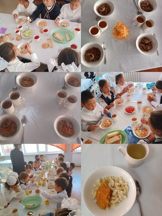 Бракераждық комиссия мүшелері тексеру жұмыстарының актісі