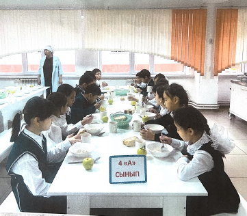 "Тамақтану сапасына мониторинг жүргізу туралы" АНЫҚТАМА